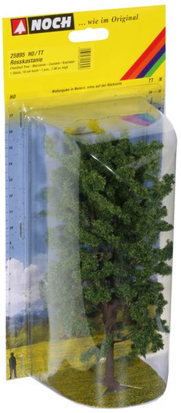 NOC25895 - Chestnut tree - 1