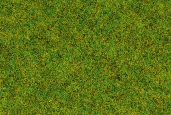 NOC50210 - Grass, medium green - 100 g - 2.5 mm - 1