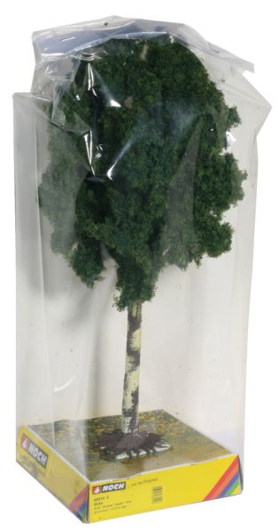 NOC68010 - Birch - 1