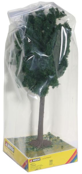 NOC68030 - Deciduous tree - 1