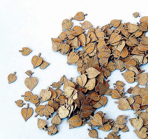 PLS227 - Model reduced of leaves linden yellow 4mm for diorama - 1