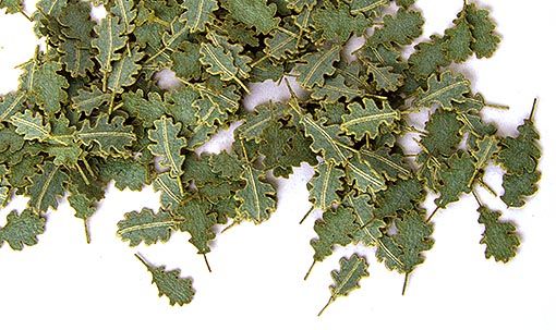 PLS252 - Box of imitation model reduced leaves oak 4mm for diorama - 1