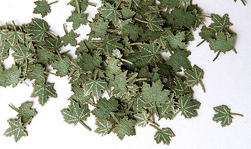 PLS253 - 4mm miniature green maple leaves for diorama - 1