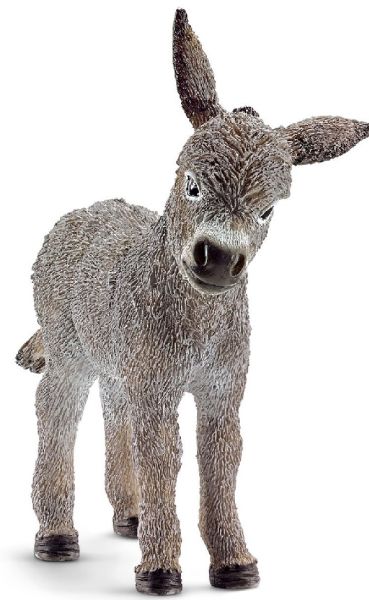 SHL13746 - colt - 1
