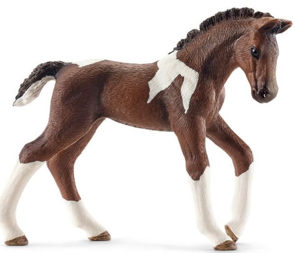 SHL13758 - foal trakehnen - 1