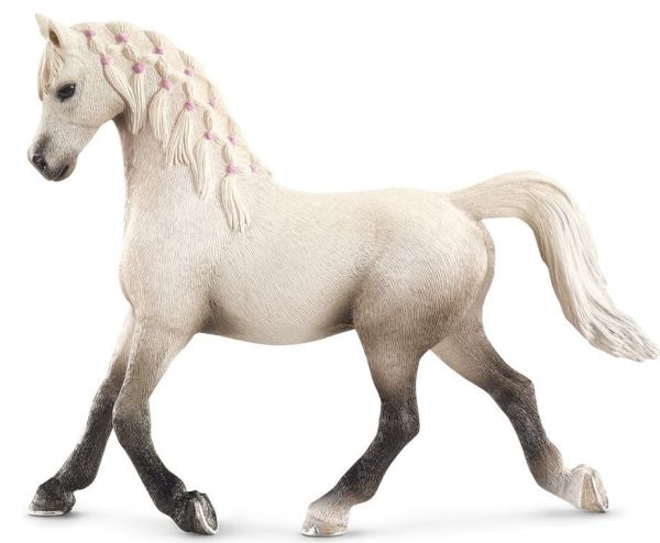 SHL13761 - Arabian mare - 1