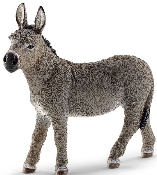 SHL13772 - Donkey - 1