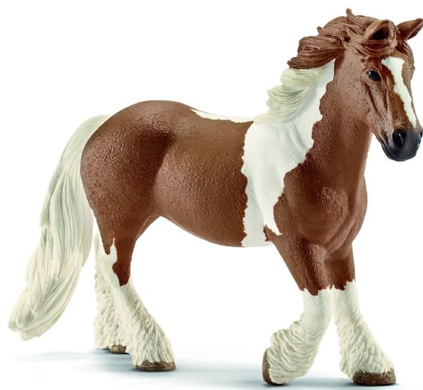 SHL13773 - Tinker mare - 1