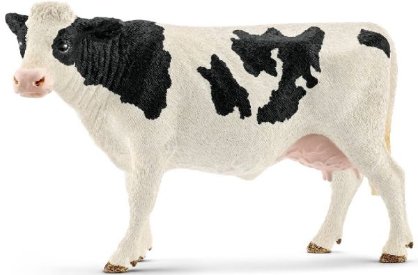 SHL13797 - Holstein cow - 1