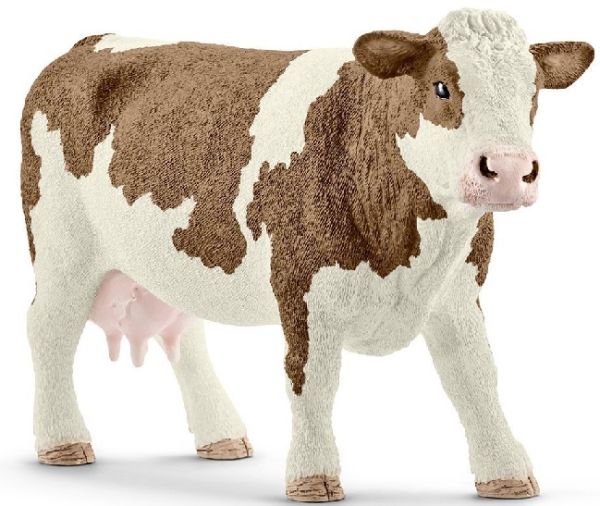 SHL13801 - French Simmental cow - 1