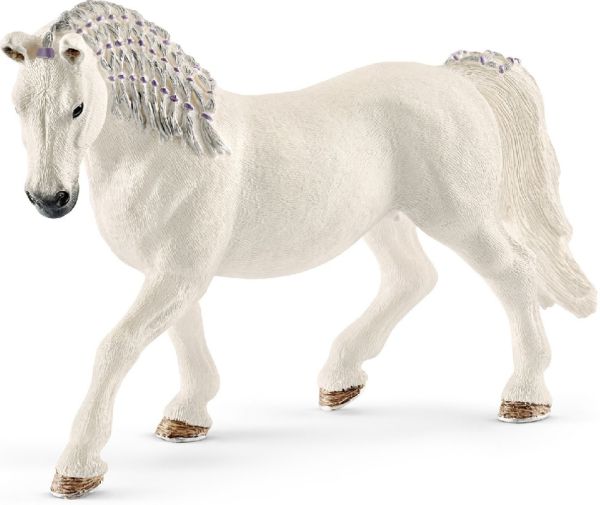 SHL13819 - Mare Lipizzan - 1