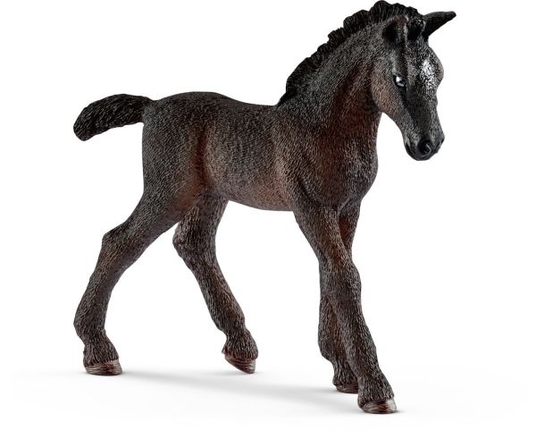 SHL13820 - foal Lipizzan - 1