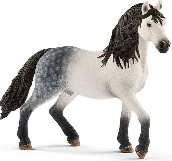 SHL13821 - Andalusian Stallion - 1