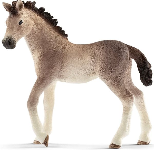 SHL13822 - Andalusian Foal - 1