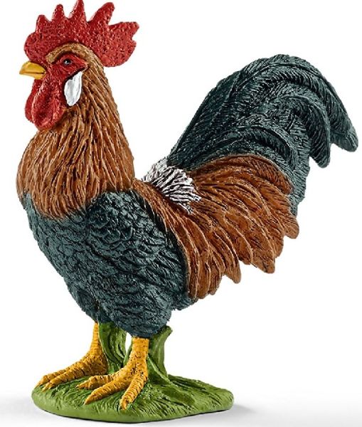SHL13825 - rooster - 1