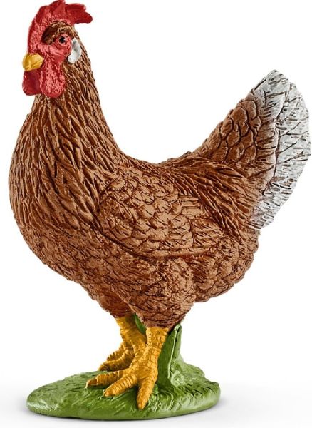 SHL13826 - hen - 1