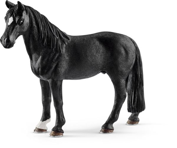 SHL13832 - Gelding Tennessee Walker - 1