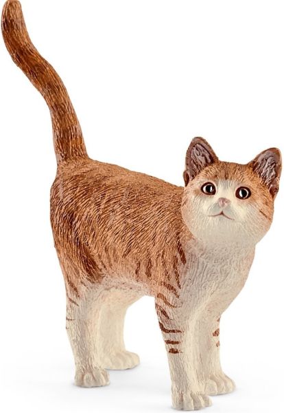 SHL13836 - Cat - 1