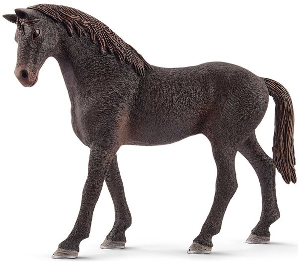 SHL13856 - English thoroughbred stallion - 1