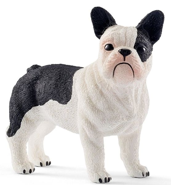 SHL13877 - French Bulldog - 1