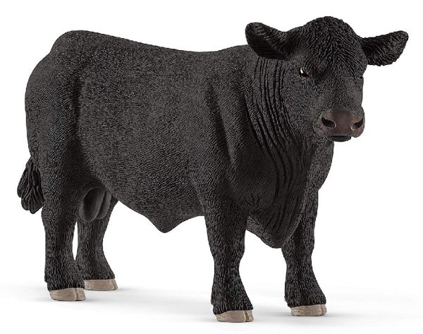 SHL13879 - bull angus - 1