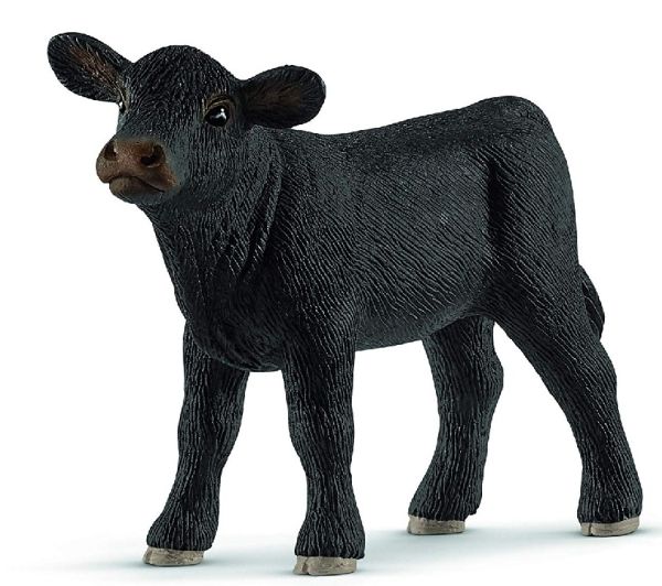 SHL13880 - veal angus - 1