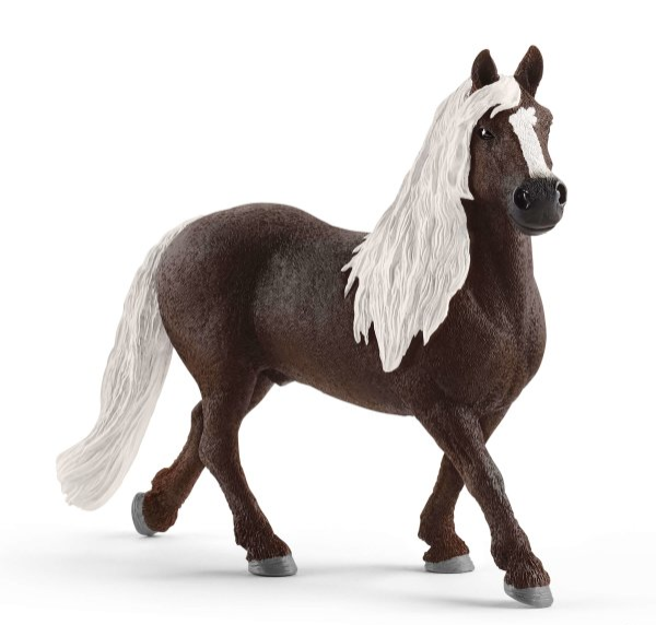 SHL13897 - Black Forest stallion - COMING SOON - 1