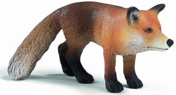 SHL14338 - Fox - 1