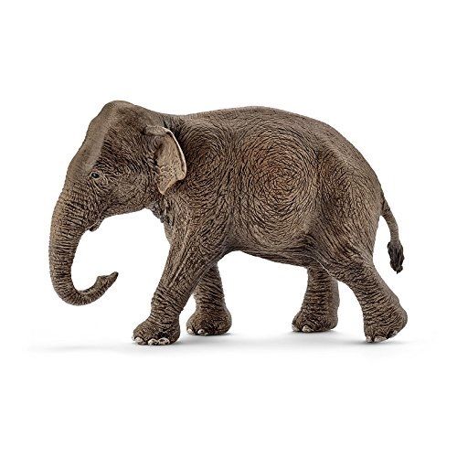 SHL14753 - Asian Elephant - Female - 1