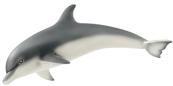 SHL14808 - Dolphin - 1