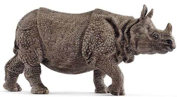 SHL14816 - Indian Rhinoceros - 1