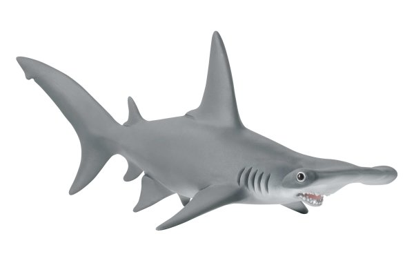 SHL14835 - Requin-marteau - BIENTÔT DISPO - 1