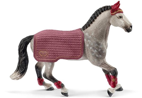 SHL42456 - Mare Trakehnen Reitwettbewerb - 1