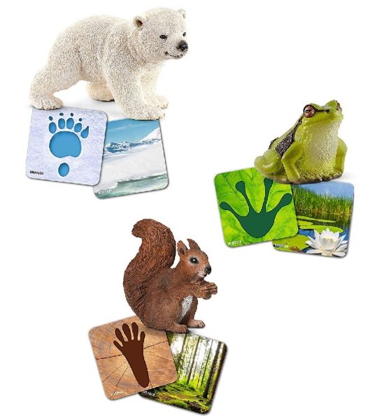 SHL42474 - Fiches and figurines of the wild world - 1