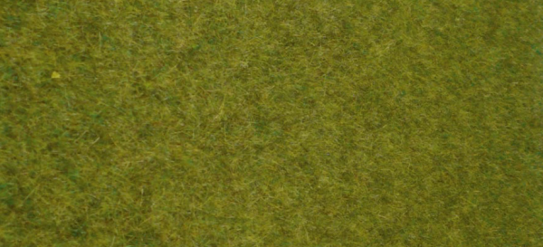 HEK1861 - Rug of wild grass woodland 45x17 cm - 1