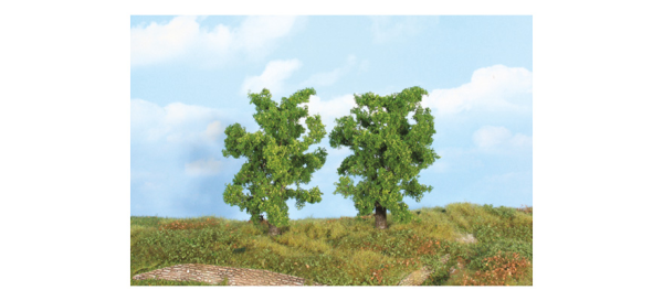 HEK19101 - 2 pear trees 14 cm - 1