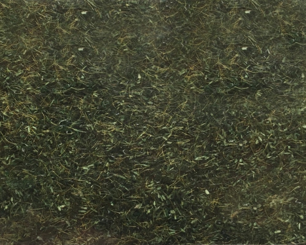 NOC08350 - Forest grass - 2.5 mm -20 g - 1