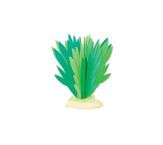 BUL81088 - Shrub - 14 cm - 1