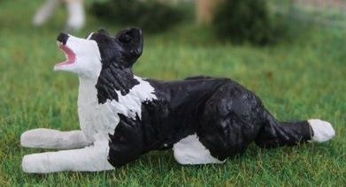 WMA12 - Border collie lying down - In Miniature - 1