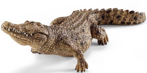 SHL14736 - Crocodile - 1
