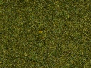 NOC07117 - Wild Herbs Pre - 50g - 9mm