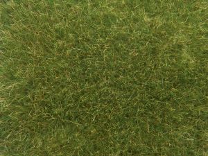 NOC07118 - Wild herbs; Medium green 9mm 50g