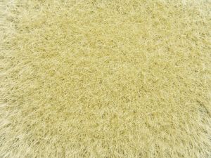NOC07119 - Wild herbs; yellow 9mm 50g
