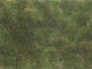NOC07251 - Olive green plant foliage 12x18 cm