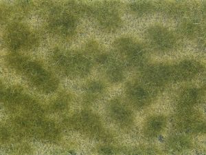 NOC07253 - Green/beige plant foliage 12x18 cm