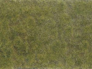 NOC07254 - Green/brown plant foliage 12x18 cm