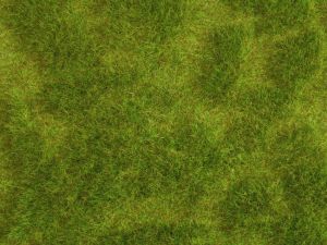 NOC07470 - Lush Meadow 25x25 cm