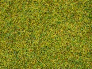 NOC08151 - Pot scatter grass spring meadow 120g