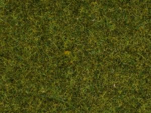NOC08152 - Pot scatter grass spring meadow 120g