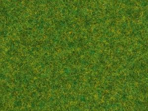 NOC08314 - Ornamental grass grass - 2.5 mm - 20g
